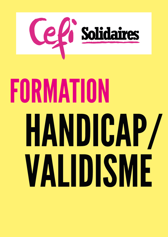 Formation Handicap-validisme