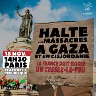 manifestation 18 nov palestine_P