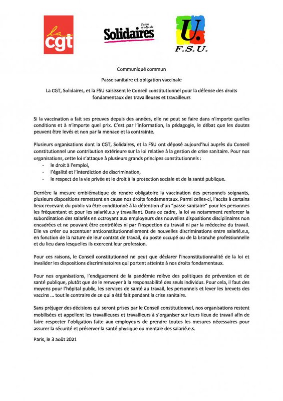 20210802-cp-conseil-constitutionnel-_1_.jpg